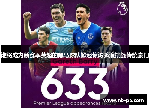 谁将成为新赛季英超的黑马球队掀起惊涛骇浪挑战传统豪门