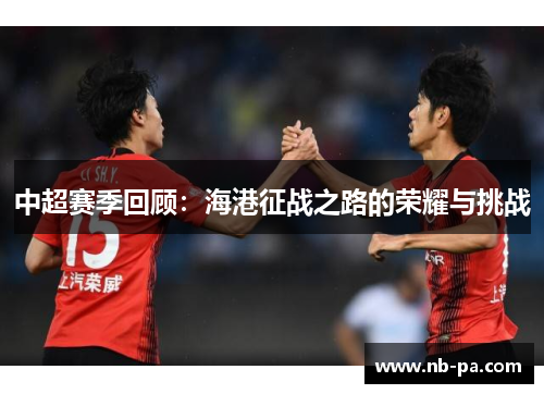 中超赛季回顾：海港征战之路的荣耀与挑战