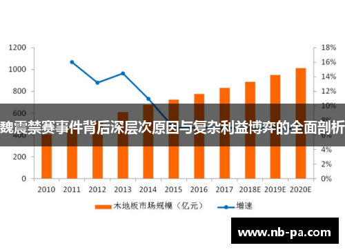 魏震禁赛事件背后深层次原因与复杂利益博弈的全面剖析