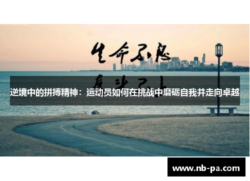 逆境中的拼搏精神：运动员如何在挑战中磨砺自我并走向卓越