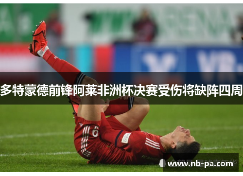 多特蒙德前锋阿莱非洲杯决赛受伤将缺阵四周 多特蒙德前锋阿莱非洲杯决赛受伤将缺阵四周