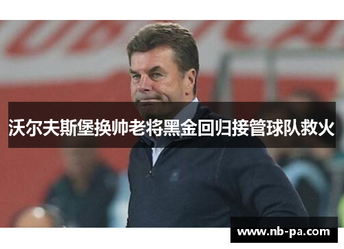 沃尔夫斯堡换帅老将黑金回归接管球队救火