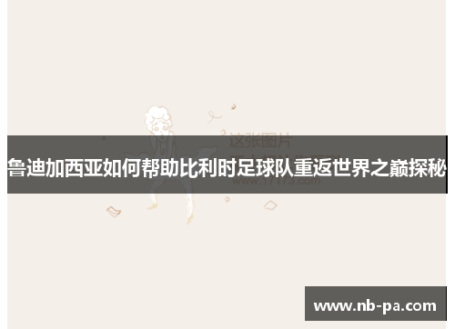 鲁迪加西亚如何帮助比利时足球队重返世界之巅探秘